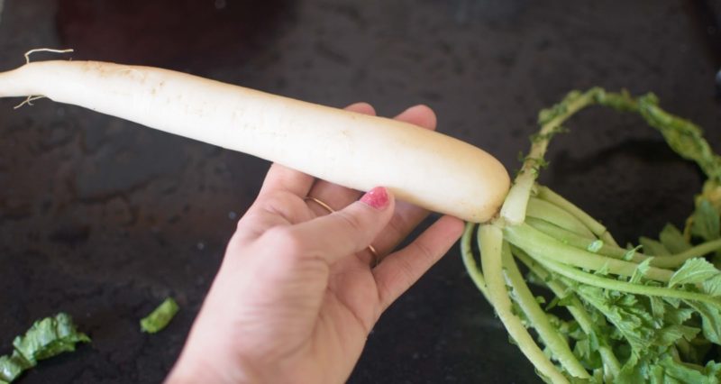 Mooli/Radish