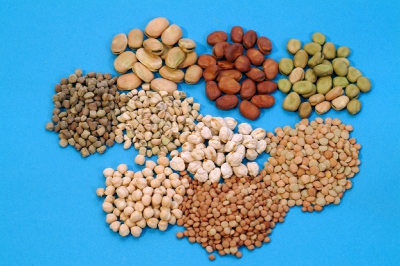 The Ultimate Guide To a Vegan Diet